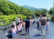 인창유치원, ‘별내팜스쿨’에서 블루베리 오감톡톡 현장체험학습