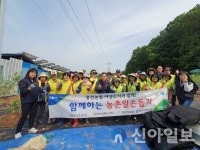 홍천농협, 홍천농협 여성조직과 ‘농촌 일손 돕기 실시’