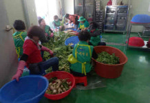 하동읍 새마을단체, 사랑의 열무김치 나눔