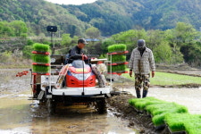 화천군, 기초 농자재 구입 비용의 절반 지원