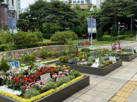 중구에 펼쳐진 도심 속 작은 정원
