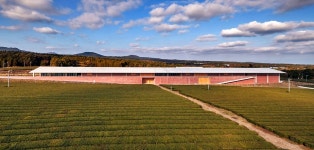 아모레, 원스톱 녹차 제품 생산체제 구축…서경배 회장도 자축