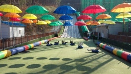 단양스포츠센터, 사계절썰매장 야간개장 실시