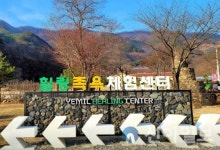 영월문화관광재단, 노인활력충전 프로그램 운영