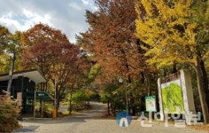 경주시, ‘반려동물과 함께하는 토함산자연휴양림’ 시범 운영