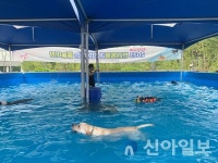 대전시, ‘반려동물과 함께하는 물놀이장’ 개장·운영