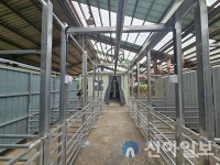 정선군, 지속 가능한 축산기반 구축 위한 축산 ICT 융복합 사업 추진