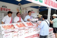 홍천군, 대홍복숭아 가락동 도매시장에서 품평회 개최