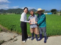 창원시, 농업 분야 폭염 피해 예방 총력 대응