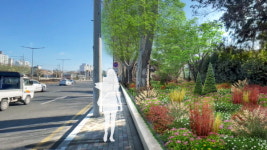 용산구, 기후대응 도시숲(미세먼지 차단숲) 조성
