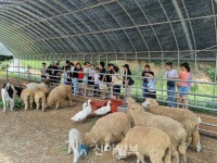 대전동부교육지원청 특수교육지원센터, 치료지원대상자 현장 체험