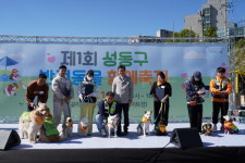 반려동물도 함께 행복한 성동, 놀이 공간부터 교육 프로그램까지