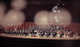 강동문화재단, 디토 오케스트라의 프리미엄 정기 연주회 개최