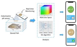 강원도농산물원종장-연세대-에스라이프,  IEEE EPICS국제연구개발사업 선정