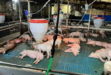 하동군, 2024년 농촌공간정비사업 공모에 진교면 평당지구 선정