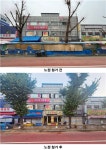 동대문구, ‘기업형’ 넘어 ‘가업형’으로 진화한 불법 노점 철거