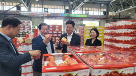 인천농협, 남촌도매시장 찾아 추석명절 농산물 수급상황 점검
