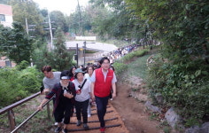 동작구, 반세기 동안 도로로 단절된 국사봉 숲 다시 잇다