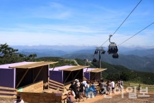 하이원 운탄고도케이블카, 구름아래 동물농장 가족 방문객 큰 인기