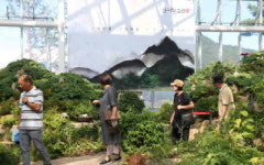 제24회 산청한방약초축제 콕 집어 즐기기