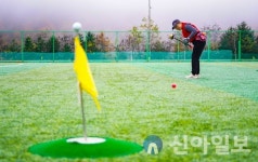 태백시, 태백시장배 파크골프대회 11~12일 개최