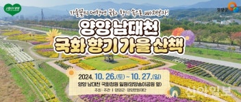 양양군, 양양 국화향기 가을산책 행사 26~27일 개최