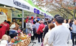 상주 낙동면 신상1리, 경북 문화마을이야기 박람회 대상 수상