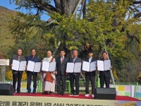 면천면 성상2리 김영성 이장, 면천은행나무 할아버지 위촉