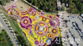 인제 가을꽃축제, 25만명 방문해 229억 경제효과 창출