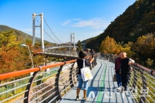 속초시 설악향기로, 새로운 관광명소로 급부상