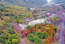 월아산 숲속의 진주, 5일부터 연말 이벤트 실시
