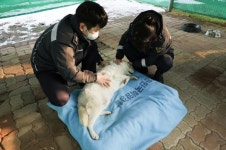 군산해경, 유기동물 위한 폐침구류 기부