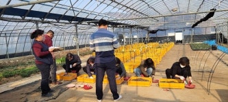 창원농업기술센터, 현동 양묘장 기간제근로자 모집