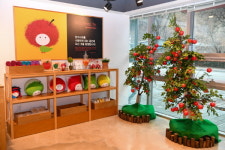 양구군, 사과홍보관 운영...양구사과의 매력 한눈에