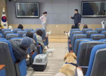 반려견과 함께 걷는 행복한 한 걸음, 사천에서 시작되다