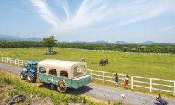 마사회 제주목장, 이색체험 힐링공간 재탄생