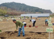 진주시, 낙동강수계 지원사업 ‘내동면 시민텃밭’ 개장