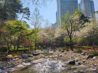 용산구, 기와터근린공원 도심 속 휴식처로 재탄생