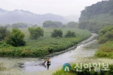 창녕 우포늪의 봄, 자연과 함께하는 특별한 생태 여행 즐겨 보세요