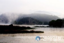 창녕 우포늪의 봄, 자연과 함께하는 특별한 생태 여행 즐겨 보세요