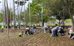 진주시, 초전공원에 버베나 식재… 2025 대한민국 정원산업박람회 준비 ‘스타트’