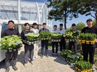 진안군, 학교 4-H 봄 꽃 꽃묘 1237본 보급