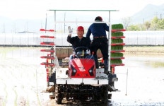 상주쌀 미소진품, 올해 첫 모내기