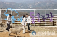 하이원리조트, 구름아래 동물농장 1일 개장