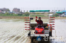 서산시, 해미면서 모내기 시연…풍년 기원