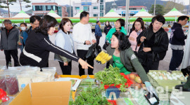 인제군, 희망의 심포니 공연 등 다양한 문화행사 개최