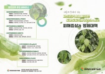 경남 파프리카 농가, 토마토퇴록바이러스 피해 확산 우려