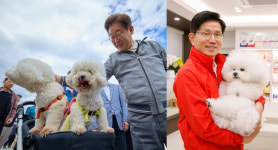 李·金 알맹이 빠진 동물병원 진료비 표준화 제안...펫보험업계 시큰둥