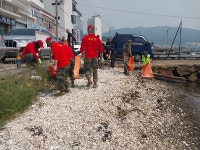 진해구, 제30회 바다의 날 기념 합동 정화활동