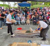 홍천문화원, 2025 단오한마당 풍성한 축제 성황